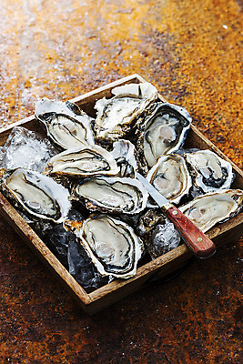 포토 JPG 어패류 사람없음 야외 얼음 굴 칼 경상남도 담기 특산물 통영 남해 통영굴 국내포토 자연요소 동물 바다 모션 경상도 특산품 파일형식