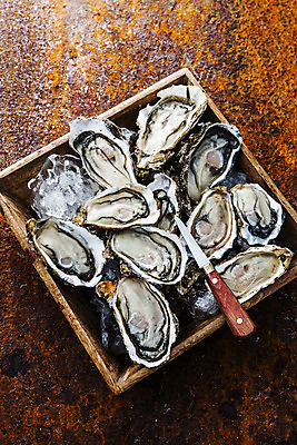 포토 JPG 어패류 사람없음 야외 얼음 굴 칼 경상남도 특산물 양식장 통영 남해 통영굴 국내포토 자연요소 동물 바다 경상도 시설 특산품 파일형식