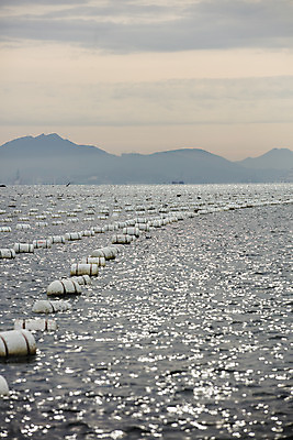포토 JPG 바다 사람없음 야외 경상남도 양식장 부표 통영 남해 국내포토 경상도 시설 파일형식