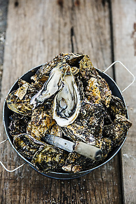 포토 JPG 어패류 사람없음 야외 굴 칼 냄비 경상남도 특산물 양식장 통영 남해 통영굴 국내포토 동물 바다 솥 경상도 시설 특산품 파일형식