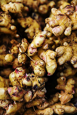 포토 JPG 채소 식재료 한국 근접촬영 사람없음 야외 전라북도 특산물 생강 봉동생강 완주군 국내포토 아시아 뷰포인트 전라도 파일형식