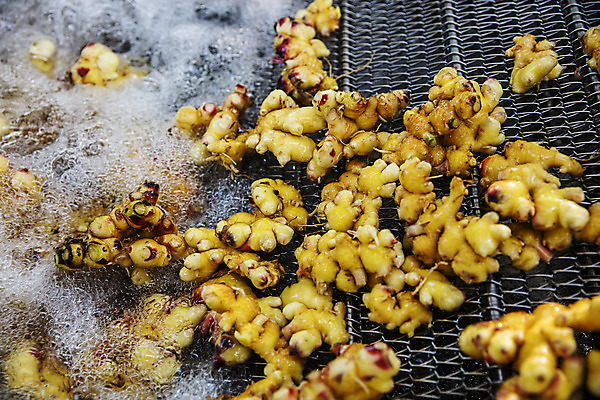 포토 JPG 채소 식재료 한국 근접촬영 사람없음 물 거품 씻기 전라북도 특산물 생강 봉동생강 완주군 국내포토 자연요소 아시아 뷰포인트 청결 전라도 파일형식