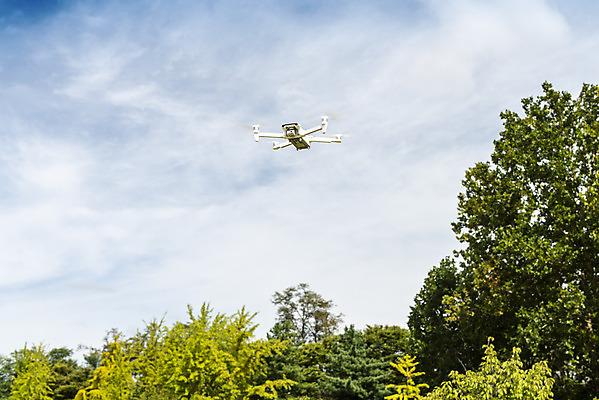 포토 JPG 주간 나무 하늘 풍경 사람없음 야외 비행 드론 4차산업 국내포토 자연요소 식물 산업 파일형식