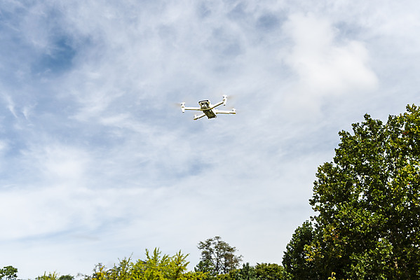 포토 JPG 주간 나무 하늘 풍경 사람없음 야외 비행 드론 4차산업 국내포토 자연요소 식물 산업 파일형식
