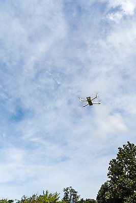 포토 JPG 주간 나무 하늘 풍경 사람없음 야외 비행 드론 4차산업 국내포토 자연요소 식물 산업 파일형식