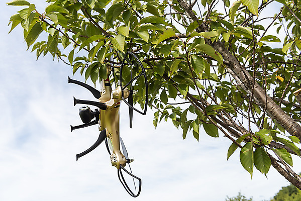 포토 JPG 주간 풍경 사람없음 야외 나뭇가지 비행 떨어짐 걸림 드론 부주의 4차산업 국내포토 자연요소 나무 산업 컨셉 모션 파일형식