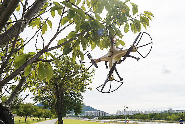 포토 JPG 주간 공원 풍경 사람없음 야외 나뭇가지 비행 떨어짐 걸림 드론 부주의 4차산업 국내포토 자연요소 나무 공공시설 산업 컨셉 모션 파일형식