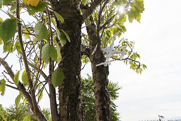 포토 JPG 주간 풍경 사람없음 야외 나뭇가지 비행 떨어짐 걸림 드론 부주의 4차산업 국내포토 자연요소 나무 산업 컨셉 모션 파일형식
