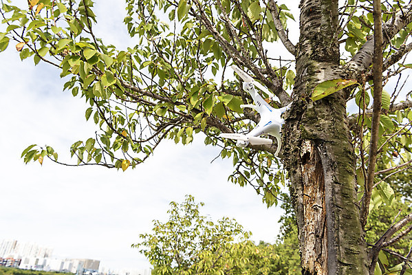 포토 JPG 주간 풍경 사람없음 야외 나뭇가지 비행 떨어짐 걸림 드론 부주의 4차산업 국내포토 자연요소 나무 산업 컨셉 모션 파일형식