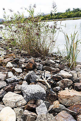 포토 JPG 주간 풍경 사람없음 야외 비행 개울 떨어짐 드론 부주의 4차산업 국내포토 자연요소 산업 컨셉 강 파일형식