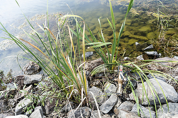포토 JPG 주간 풍경 사람없음 야외 돌_바위 비행 개울 떨어짐 드론 부주의 4차산업 국내포토 자연요소 산업 컨셉 강 파일형식
