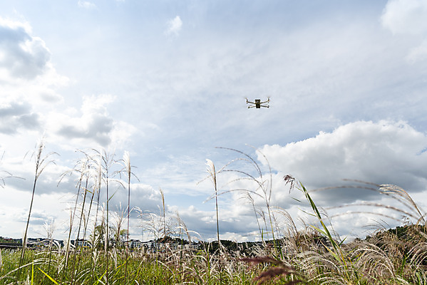 포토 JPG 주간 공원 하늘 풍경 사람없음 야외 비행 드론 4차산업 국내포토 자연요소 공공시설 산업 파일형식