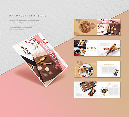 템플릿 ZIP 리플렛 분홍색 건강 팜플렛 사람없음 건강식품 선물세트 면역력 홍삼 인디자인 INDD 이미지템플릿 음식 컬러 선물 삼 파일형식