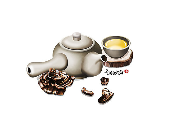 PSD 일러스트 건강 사람없음 한의학 흰색 차 찻잔 찻주전자 운지버섯 한방차 국내일러스트 음료 컬러 의학 주전자 잔 차_음료 버섯 전통차 파일형식