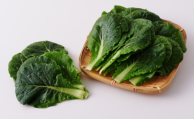 포토 JPG 스튜디오촬영 음식 채소 식재료 회색배경 실내 사람없음 바구니 담기 쌈배추 국내포토 백그라운드 모션 내부 회색 배추 파일형식