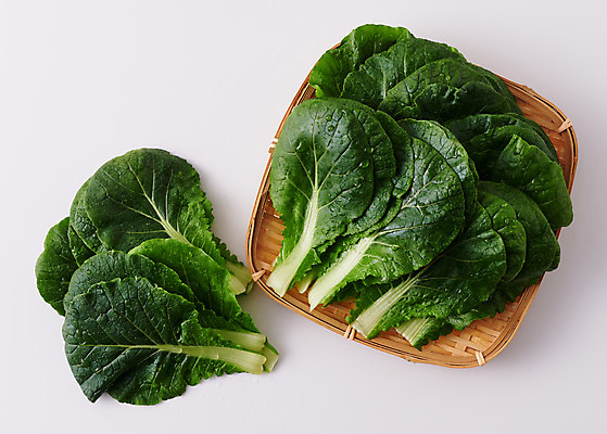 포토 JPG 스튜디오촬영 음식 채소 식재료 회색배경 실내 사람없음 하이앵글 바구니 배추 담기 쌈 쌈배추 국내포토 뷰포인트 백그라운드 모션 내부 회색 파일형식