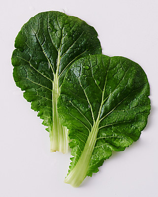 포토 JPG 스튜디오촬영 음식 채소 식재료 회색배경 실내 사람없음 하이앵글 쌈배추 국내포토 뷰포인트 백그라운드 내부 회색 배추 파일형식