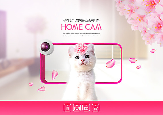PSD 편집이미지 한마리 꽃 분홍색 집안 주택 사람없음 스마트폰 카메라 고양이 감시카메라 반려 반려묘 이미지편집 식물 1 컬러 포유류 실내 건물 전자제품 핸드폰 스마트기기 반려동물 파일형식