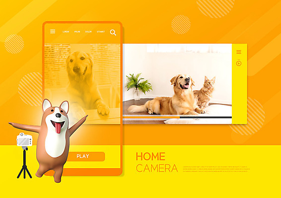 PSD 편집이미지 반려견 여러마리 집안 주택 3D캐릭터 사람없음 스마트폰 3D 카메라 주황색 고양이 강아지 감시카메라 반려 반려묘 편집3D 캐릭터 컬러 다수 포유류 실내 건물 전자제품 핸드폰 스마트기기 반려동물 개 디지털합성 파일형식