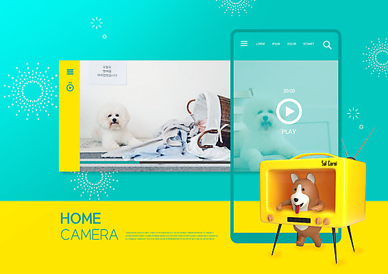 PSD 편집이미지 반려견 두마리 집안 주택 3D캐릭터 사람없음 스마트폰 3D 카메라 텔레비전 강아지 청록색 감시카메라 반려 편집3D 캐릭터 컬러 2 실내 건물 전자제품 핸드폰 스마트기기 반려동물 개 디지털합성 파일형식