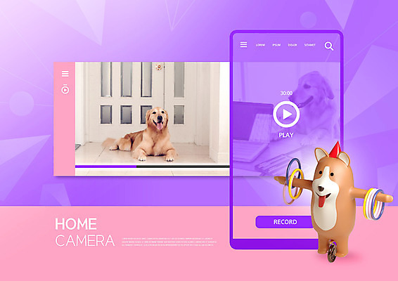 PSD 편집이미지 반려견 두마리 집안 주택 3D캐릭터 사람없음 스마트폰 컬러풀 3D 카메라 보라색 강아지 감시카메라 반려 편집3D 캐릭터 컬러 2 실내 건물 전자제품 핸드폰 스마트기기 반려동물 개 디지털합성 파일형식