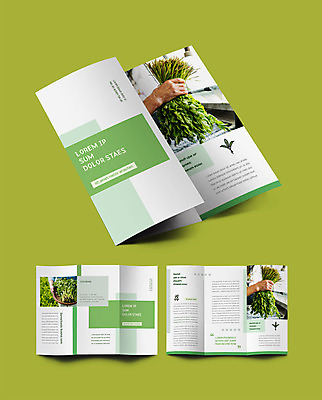 템플릿 표지디자인 손 표지 ZIP 내지 리플렛 3단접지 들기 팜플렛 신체부위 연두색 농작물 수확 미나리 인디자인 INDD 이미지템플릿 농업 채소 모션 사람 초록색 파일형식