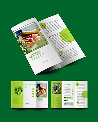 템플릿 표지디자인 손 표지 남자 ZIP 내지 리플렛 40대 중년 토마토 3단접지 고추 가지 들기 팜플렛 20대 성인 신체부위 연두색 농작물 농사 한국인 수확 상추 깻잎 팔 애호박 인디자인 INDD 이미지템플릿 농업 채소 모션 호박 사람 동양인 청년 초록색 파일형식