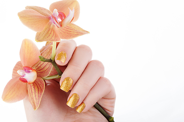 포토 JPG 해외이미지 손 꽃 캠페인 크리스마스 손가락 휴가 새로움 사람없음 빛 컬러풀 장난감 유행 페인트 화장품 덮개 축하 못 황금 손톱관리 손톱 연도 광택 개선 니스 돌봄 아크릴 의료성형뷰티 해외202004 해외포토 식물 기념일 컬러 컨셉 모션 재질 신체부위 뷰티 뚜껑 공구 네일아트 파일형식