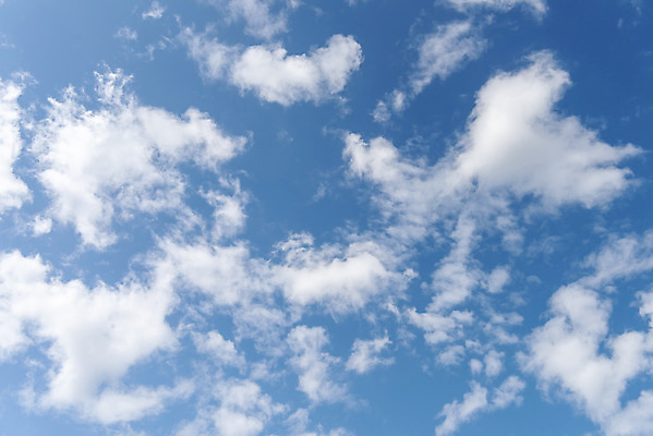 포토 JPG 주간 구름 백그라운드 자연 하늘 날씨 풍경 사람없음 야외 파란색 가을 국내포토 자연요소 계절 컬러 생태계 파일형식