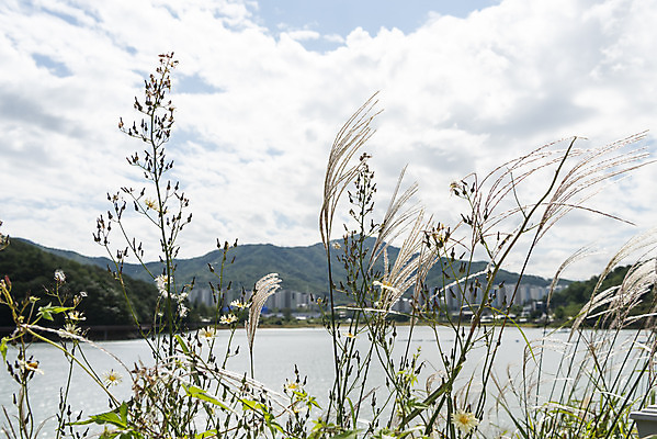 포토 JPG 주간 구름 자연 하늘 날씨 산 풍경 사람없음 야외 파란색 가을 풀 백운호수 국내포토 자연요소 식물 계절 호수 컬러 생태계 경기도 파일형식