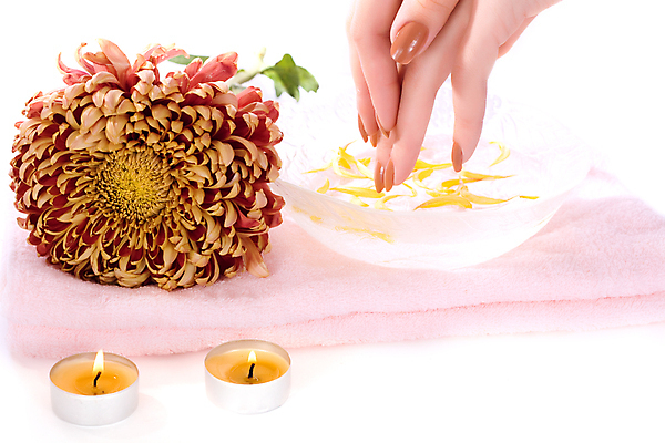 포토 JPG 해외이미지 백인 라이프스타일 손 여자 꽃 손가락 휴식 국화 건강 관리 사람 사람없음 치료 수건 상점 스파 화장품 활발 흰색 신선 화려 고급 손톱관리 손톱 소중 피부 데이지 아로마테라피 테라피 프랑스어 고립 돌봄 위생관리 캐모마일 의료성형뷰티 해외202004 해외포토 서양인 식물 문자 컬러 컨셉 의학 모션 생활 신체부위 위생용품 뷰티 네일아트 허브 파일형식