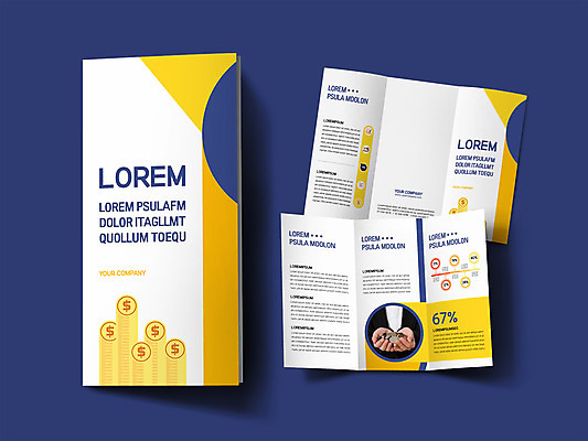 템플릿 표지디자인 여자 표지 ZIP 내지 리플렛 3단접지 한명 들기 팜플렛 노란색 동전 한국인 폭탄 세금 여자한명만 인디자인 INDD 이미지템플릿 1 컬러 돈 모션 사람 동양인 폭발물 여자만 파일형식