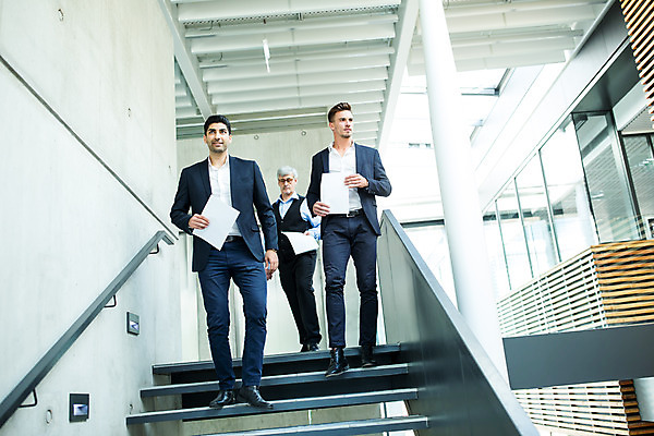 포토 JPG 전신 서양인 외국인 응시 남자 중년 50대 비즈니스 실내 서기 들기 사람 20대 성인 앞모습 세명 30대 비즈니스라이프 계단 업무 비즈니스맨 동료 문서 남자만 내려오기 국내포토 라이프스타일 시선 뷰포인트 관계 모션 인종 청년 내부 장년 작업 직장인 파일형식