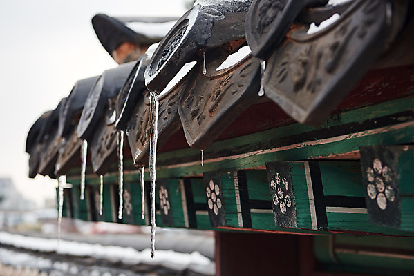 포토 JPG 주간 전통 문화 설경 겨울 풍경 근접촬영 사람없음 야외 검은색 세계문화유산 눈 처마 고드름 수원 화성시 겨울풍경 국내포토 자연요소 계절 뷰포인트 컬러 날씨 얼음 문화재 경기도 파일형식