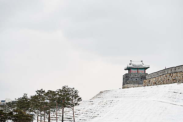 포토 JPG 주간 전통 문화 설경 겨울 풍경 사람없음 야외 세계문화유산 흰색 눈 수원 화성시 겨울풍경 수원화성 국내포토 자연요소 계절 컬러 한국건축 날씨 문화재 경기도 랜드마크 파일형식