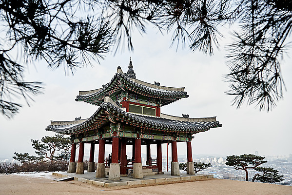 포토 JPG 주간 나무 전통 문화 설경 겨울 풍경 사람없음 야외 세계문화유산 눈 솔잎 수원 화성시 겨울풍경 수원화성 국내포토 자연요소 식물 계절 잎 한국건축 날씨 문화재 경기도 랜드마크 파일형식