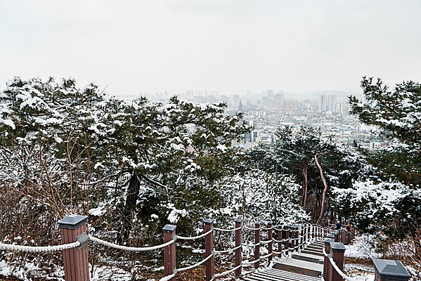 포토 자연요소 식물 계절 겨울 날씨 풍경 등산 경기도 파일형식 등산로 나무 눈 야외 수원 문화 JPG 겨울풍경 사람없음 화성시 주간 설경 국내포토