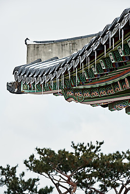 포토 JPG 주간 전통 문화 설경 겨울 풍경 사람없음 야외 세계문화유산 눈 소나무 수원 지붕처마 화성시 겨울풍경 수원화성 국내포토 자연요소 나무 계절 한국건축 지붕 날씨 문화재 처마 경기도 랜드마크 파일형식