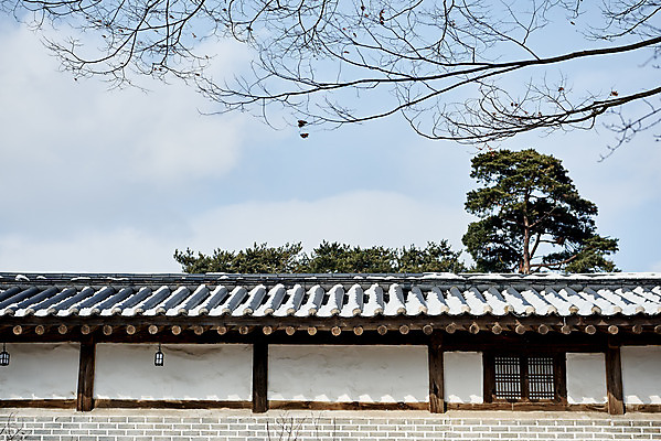 포토 JPG 주간 전통 문화 설경 겨울 풍경 사람없음 야외 세계문화유산 흰색 눈 겨울풍경 국내포토 자연요소 계절 컬러 날씨 문화재 파일형식