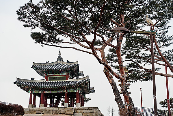 포토 JPG 주간 전통 문화 설경 겨울 풍경 사람없음 야외 세계문화유산 흰색 눈 수원 화성시 겨울풍경 국내포토 자연요소 계절 컬러 날씨 문화재 경기도 파일형식