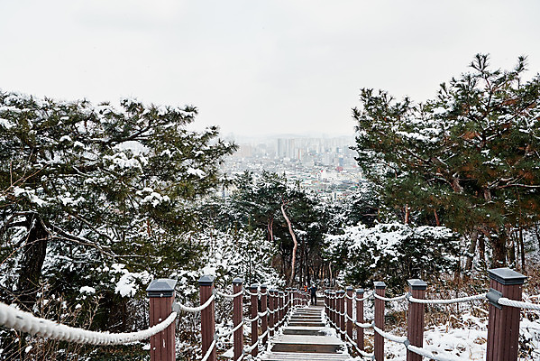 포토 JPG 주간 전통 문화 설경 겨울 풍경 사람없음 야외 계단 세계문화유산 흰색 눈 소나무 등산로 수원 화성시 겨울풍경 국내포토 자연요소 나무 계절 컬러 날씨 등산 문화재 경기도 파일형식
