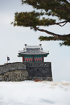 포토 JPG 주간 전통 문화 설경 겨울 풍경 사람없음 야외 세계문화유산 흰색 눈 소나무 수원 화성시 겨울풍경 수원화성 국내포토 자연요소 나무 계절 컬러 한국건축 날씨 문화재 경기도 랜드마크 파일형식