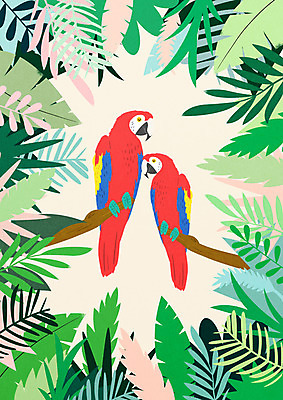PSD 나무 동물 두마리 일러스트 조류 나뭇잎 사람없음 컬러풀 앵무새 야자수잎 트로피컬아트 국내일러스트 식물 컬러 잎 2 그림 파일형식