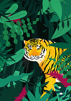 PSD 동물 한마리 응시 일러스트 나뭇잎 사람없음 초록색 호랑이 숲속 트로피컬아트 국내일러스트 1 시선 컬러 잎 포유류 숲 그림 파일형식