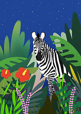 PSD 동물 한마리 꽃 일러스트 밤하늘 나뭇잎 초원 사람없음 얼룩말 트로피컬아트 국내일러스트 식물 1 잎 하늘 말_동물 야간 그림 파일형식