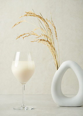 포토 JPG 스튜디오촬영 와인잔 회색배경 주류 실내 사람없음 벼 발효 막걸리 발효음식 국내포토 음료 음식 백그라운드 술잔 곡류 내부 회색 파일형식