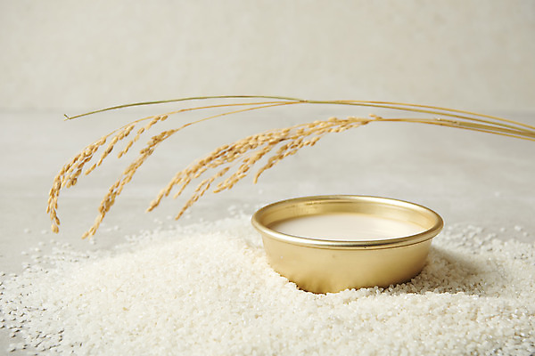 포토 JPG 스튜디오촬영 회색배경 주류 실내 사람없음 벼 쌀 발효 막걸리 발효음식 국내포토 음료 음식 백그라운드 곡류 내부 회색 파일형식