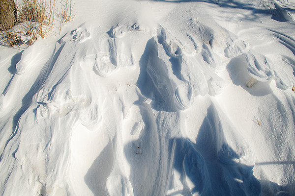 포토 JPG 주간 계절 겨울 사람없음 야외 설원 흰색 눈 강원도 강릉 대관령 겨울풍경 국내포토 자연요소 컬러 날씨 한국 눈_날씨 풍경 파일형식