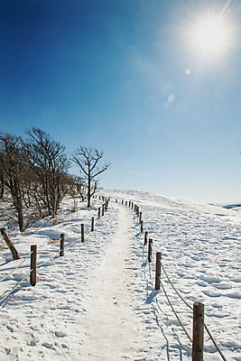 포토 JPG 주간 계절 겨울 사람없음 야외 파란색 설원 흰색 눈 강원도 강릉 대관령 겨울풍경 국내포토 자연요소 컬러 날씨 한국 눈_날씨 풍경 파일형식