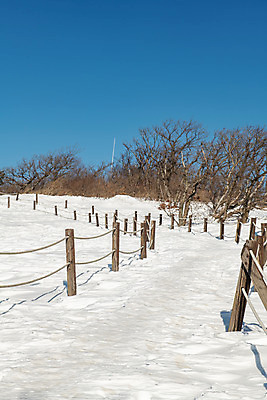 포토 JPG 주간 계절 겨울 사람없음 야외 파란색 설원 흰색 눈 강원도 강릉 대관령 겨울풍경 국내포토 자연요소 컬러 날씨 한국 눈_날씨 풍경 파일형식